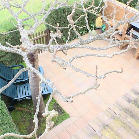 Port Estrella 24 Villa Roses Kültér fotó